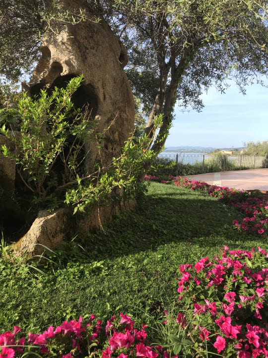 Gartenanlage Gabbiano Azzurro Hotel & Suites