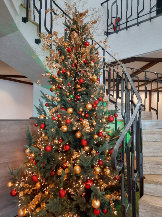 Lobby Dorint Resort Winterberg