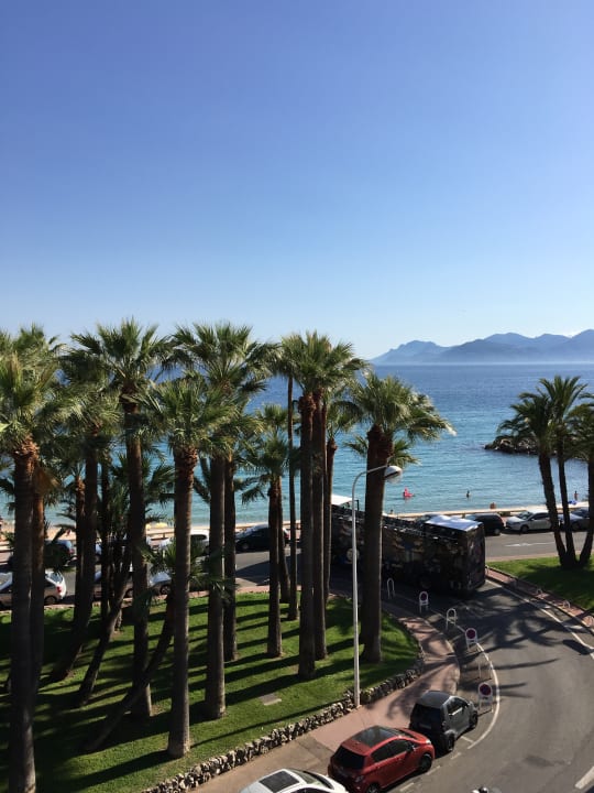 Ausblick Canopy by Hilton Cannes