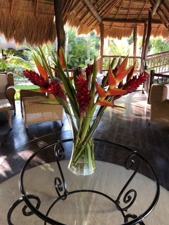 Lobby Akumal Bay Beach & Wellness Resort