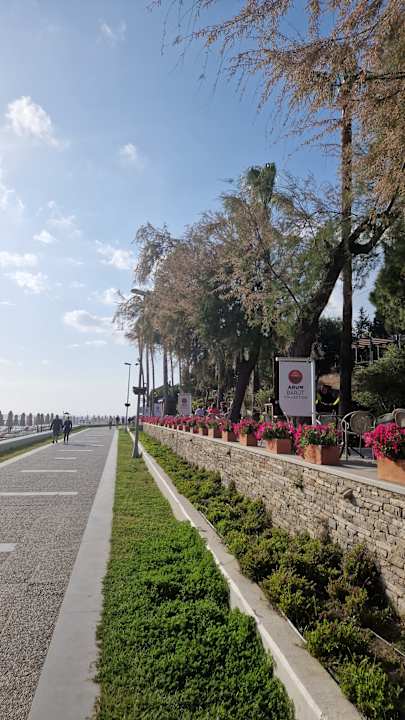 Gartenanlage Arum Barut Collection