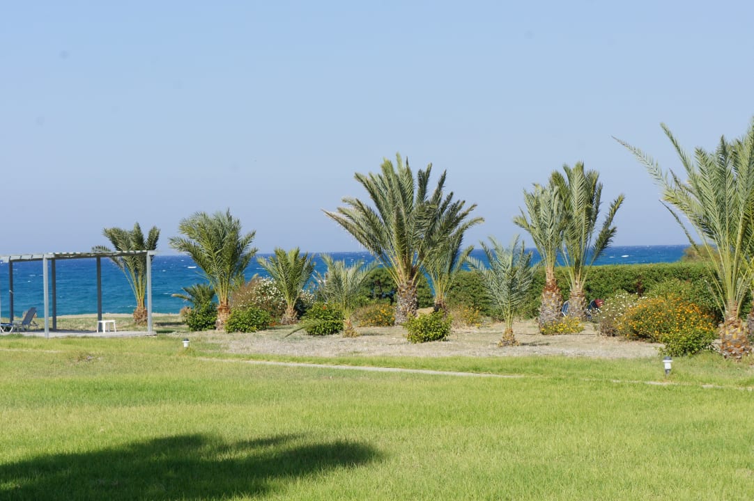 Blick von der Zimmerterrasse Hotel Natura Beach