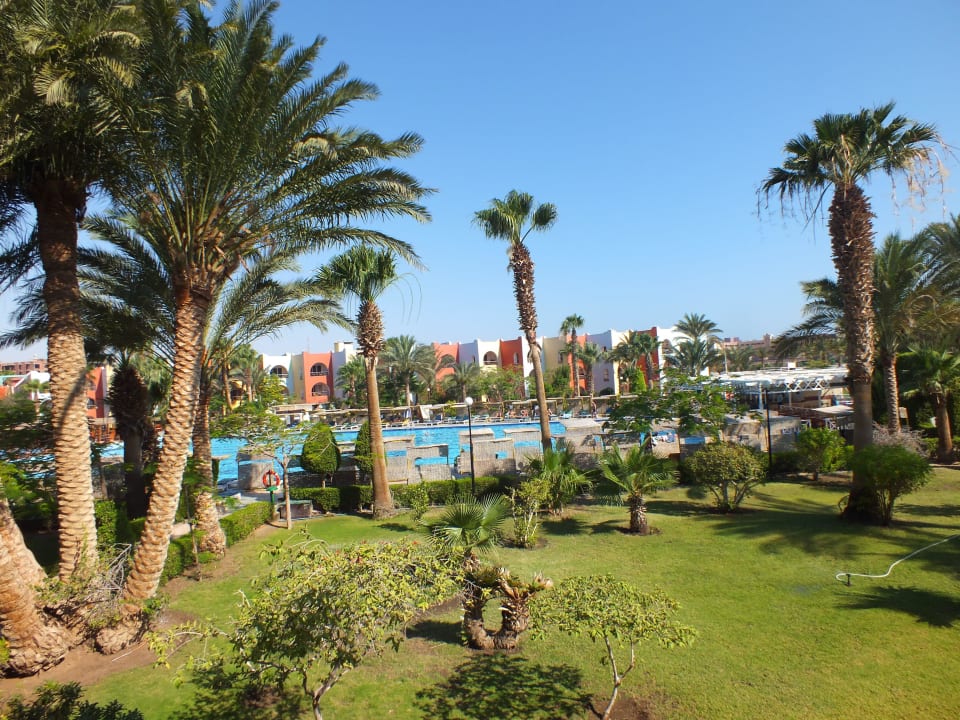C.d. Arabia Azur Resort