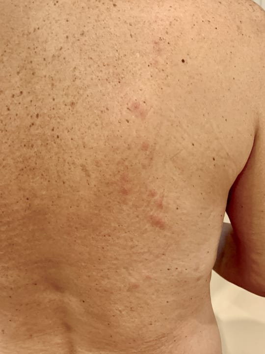 Zimmer BLUESEA Complejo Puerto Resort (Canarife y Bonanza Palace))