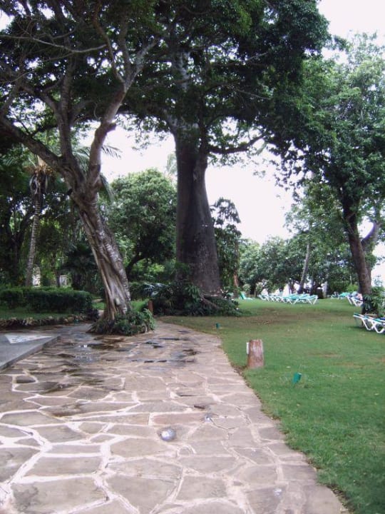 Gehwege in der Anlage Baobab Beach Resort & Spa