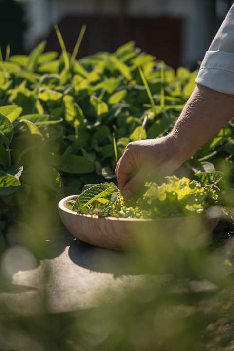 Gastro Panorama Hotel Huberhof