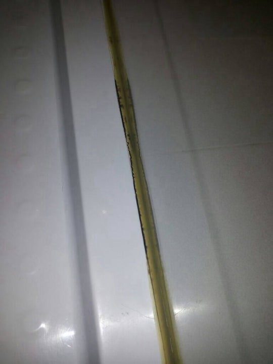 Schimmel Dusche  Calimera Fido Gardens