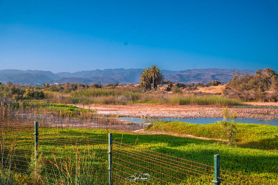 Sport & Freizeit allsun Hotel Esplendido