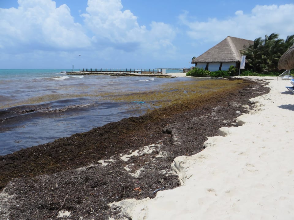 Der Nachbar-Strand H10 Ocean Maya Royale - Adults only