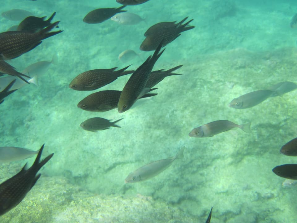 Sport & Freizeit  Crystal Springs Beach Hotel