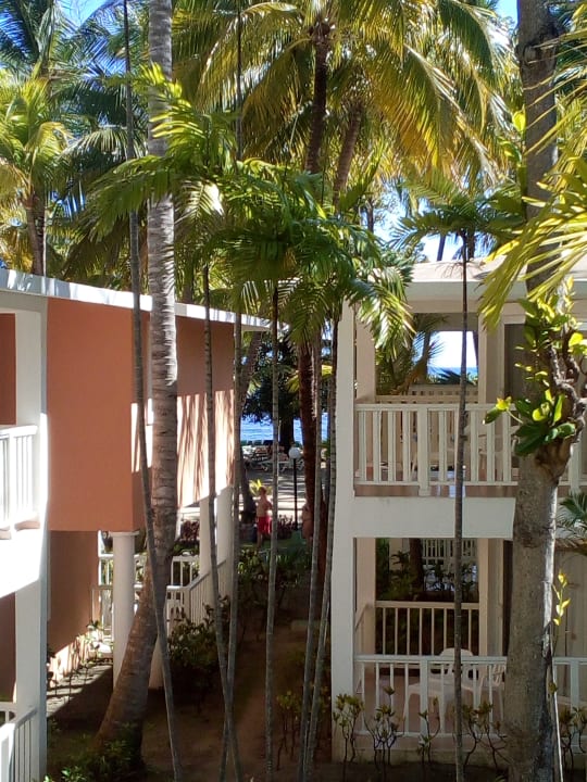Sonstiges Playabachata Hotel
