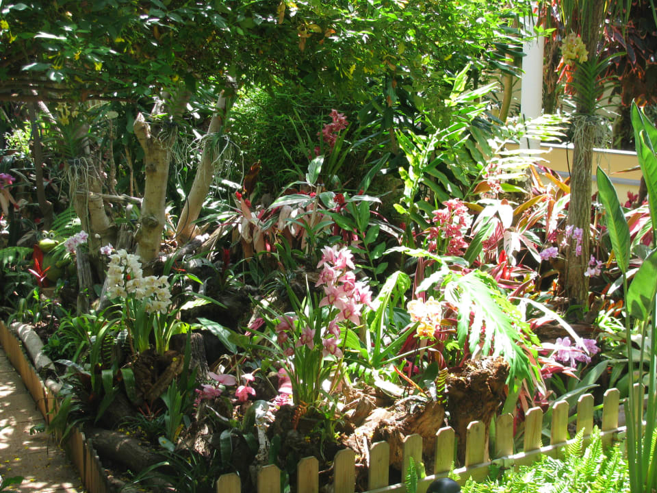 Botanischer Garten in der Hotelanlage Hotel Porto Mare - PortoBay