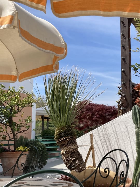 Gartenanlage Hotel La Pergola & Villa Flavio Ischia