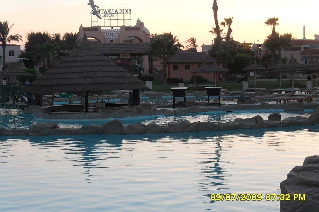 Pool Beach Albatros Resort