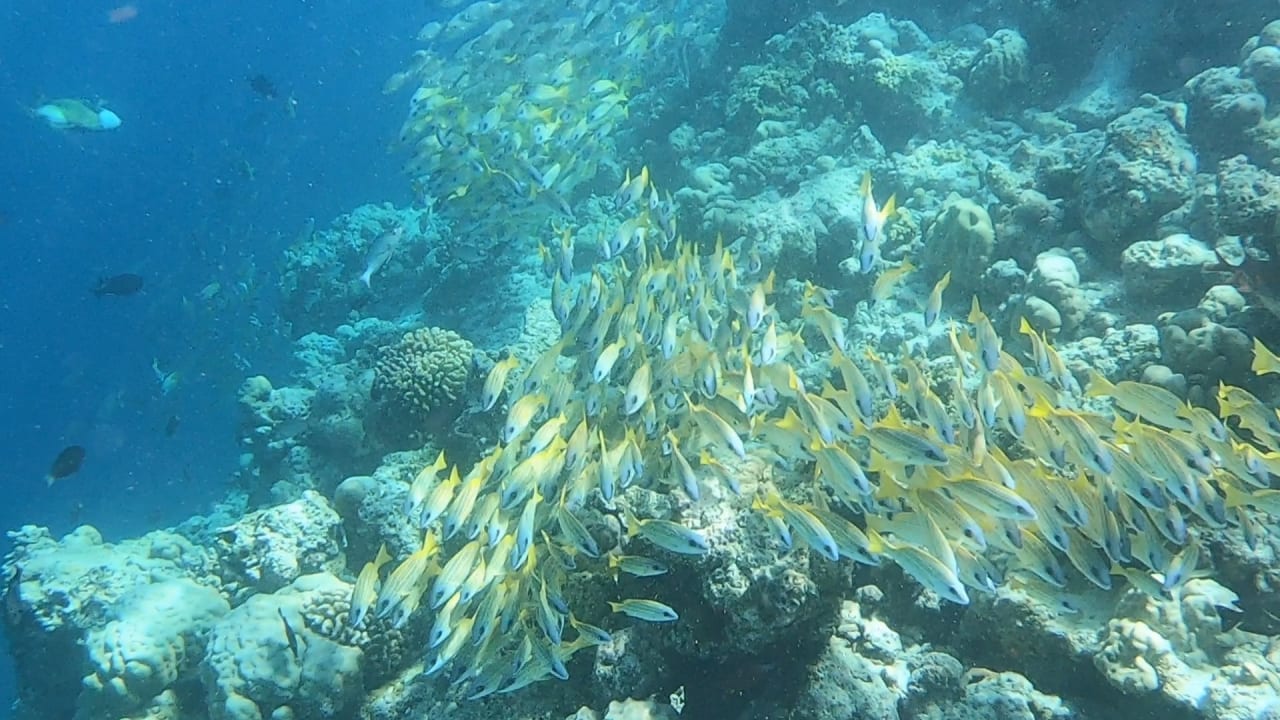 Sport & Freizeit NH Collection Maldives Reethi Resort