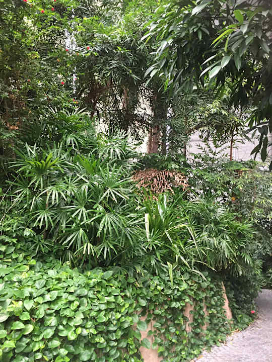 Gartenanlage Tropical Islands Resort