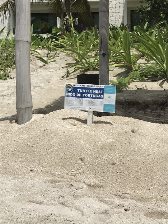 Strand Akumal Bay Beach & Wellness Resort