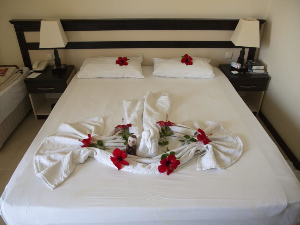 Die "Kunst" der Zimmermädchen Hotel Orfeus Park