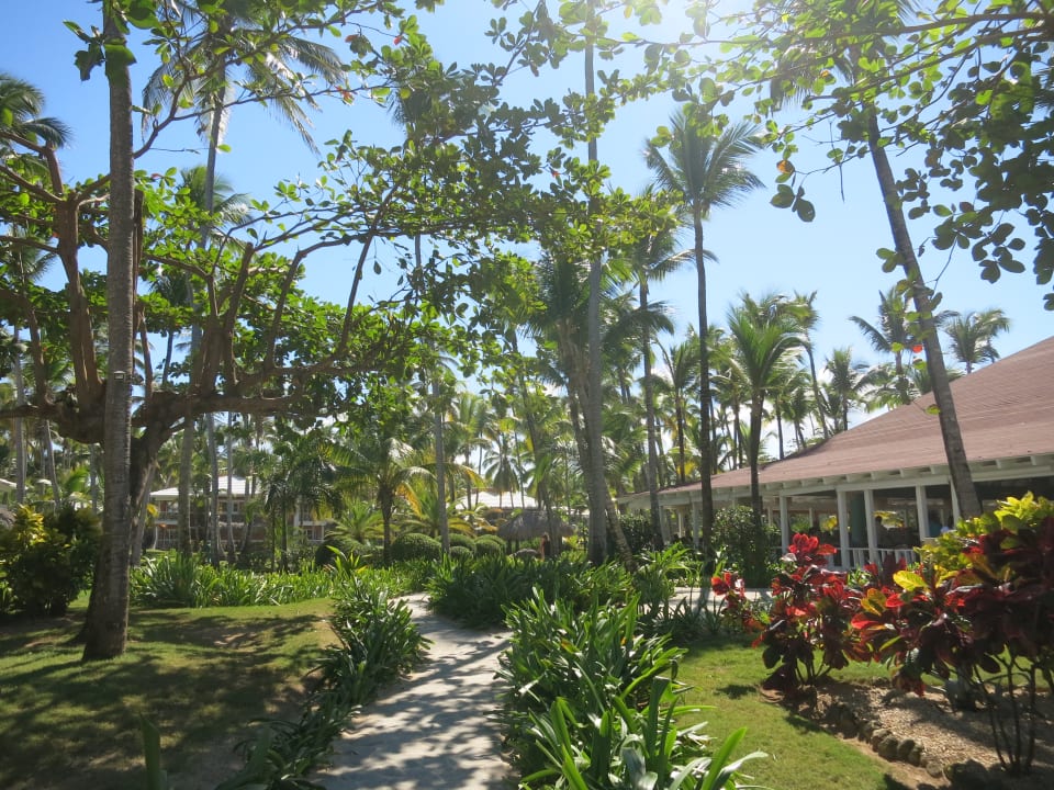 Gartenanlage Grand Palladium Select Bávaro Resort & Spa