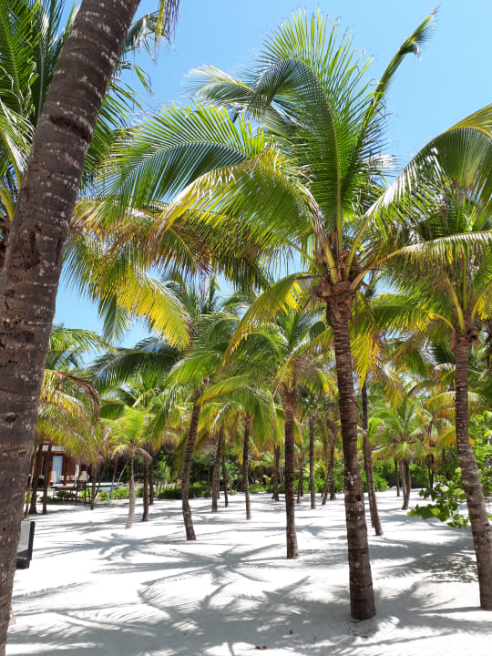 Strand Grand Palladium Kantenah Resort & Spa