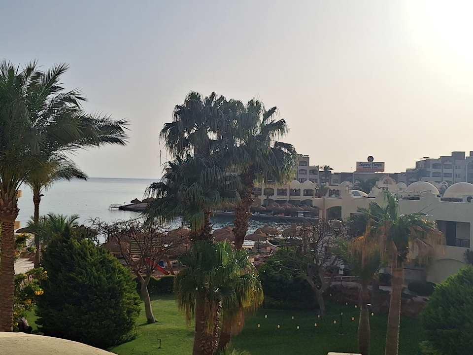 Gartenanlage Sunny Days Palma De Mirette Resort & Spa