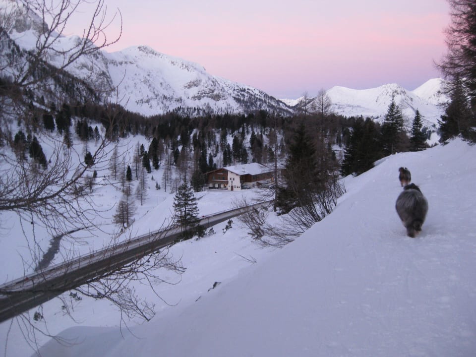 Blick von oben auf die Weningeralm Weningeralm