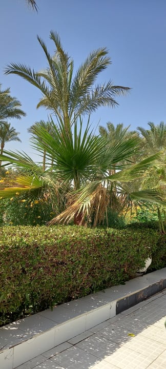 Gartenanlage Giftun Azur Resort