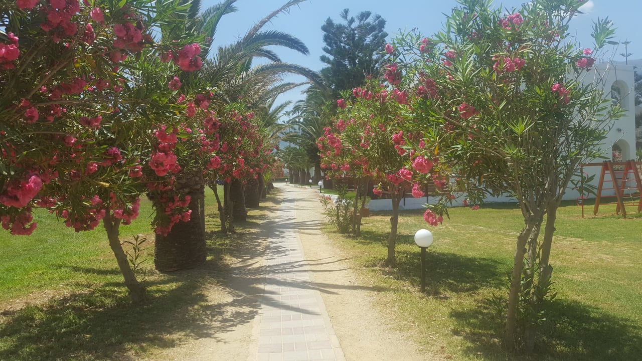 Weg zum Restaurant HARPIN Happy Days Beach Hotel