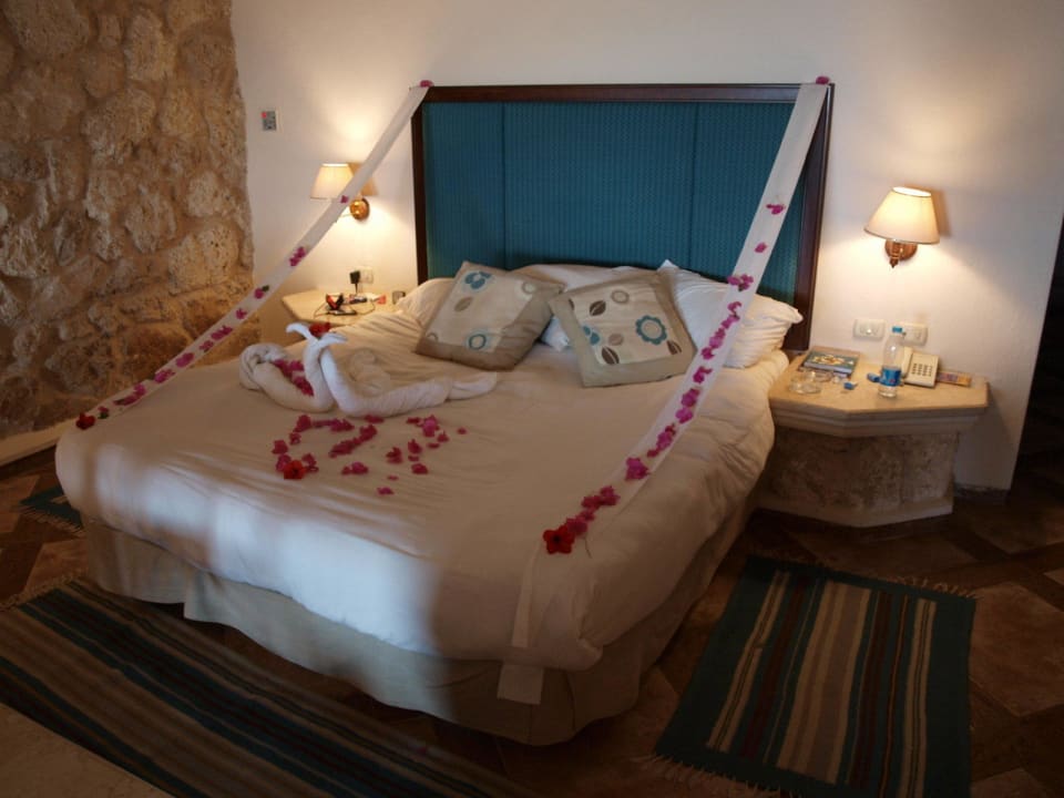 Zum Geburtstag Pickalbatros Citadel Resort