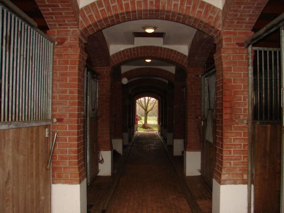 Stallungen Hotel Dobogomajor