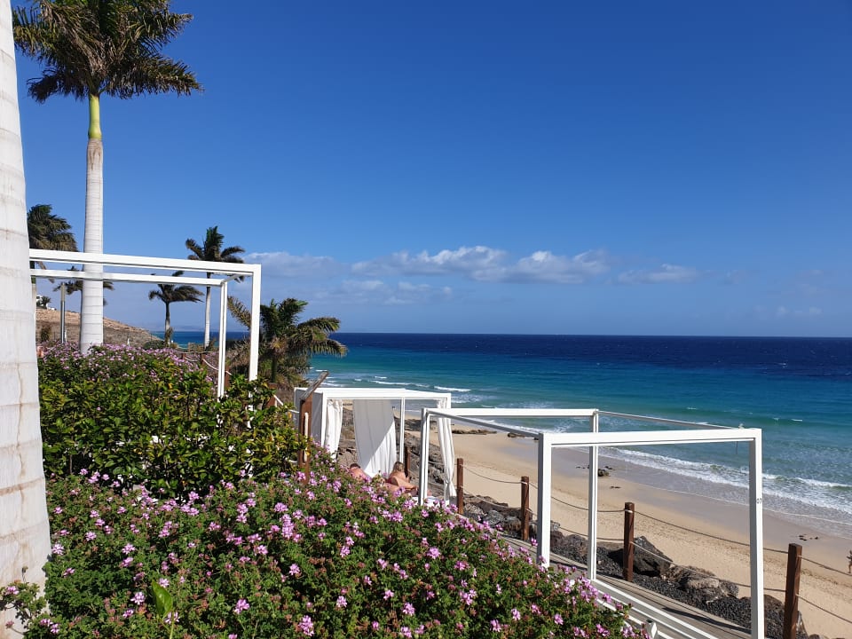 Strand Royal Palm Resort & Spa - Adults only