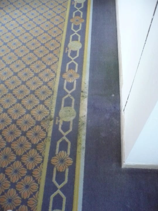 Grüner Schimmel wegen Wassereinbruch (defekte Decke) Hotel Zafiro Alzinar Mar