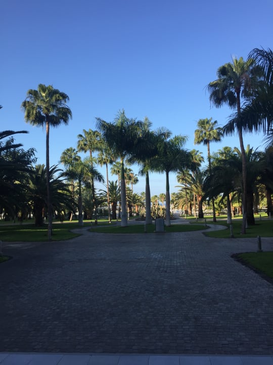 Gartenanlage Hotel Riu Gran Canaria