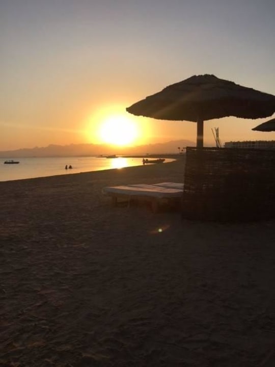 Sonne Pur Hotel Sheraton Soma Bay Resort