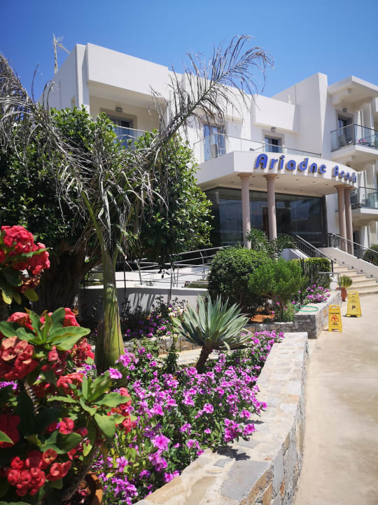 Außenansicht Hotel Ariadne Beach