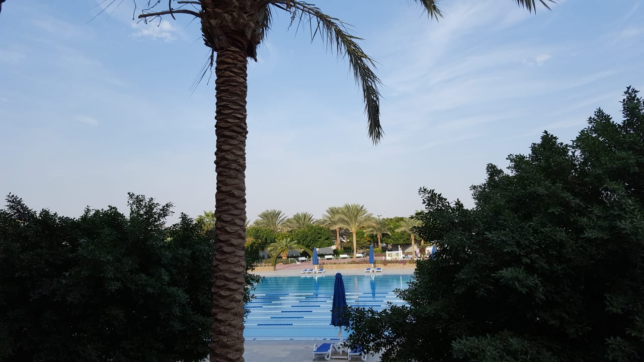 Ausblick Desert Rose