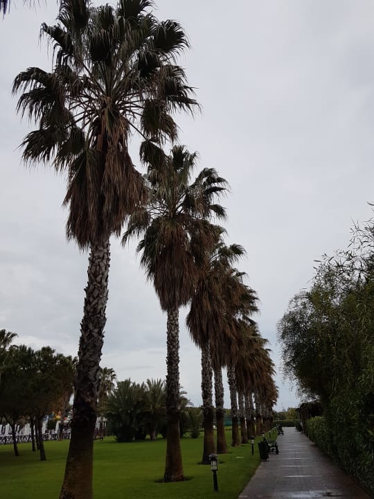 Gartenanlage Voyage Belek Golf & Spa