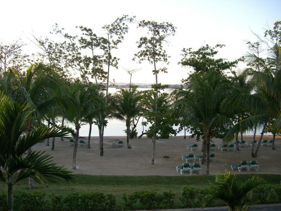 Blick vom Zimmer Hotel Riu Negril
