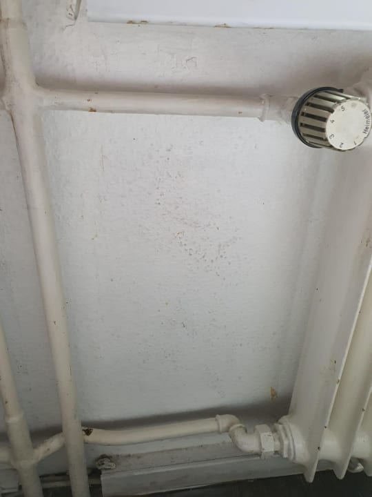 Zimmer Potsdamer Inn Hotel