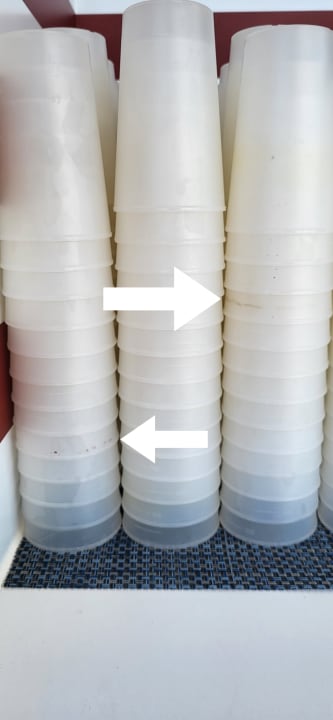 Gastro Iberostar Waves Gaviotas Park