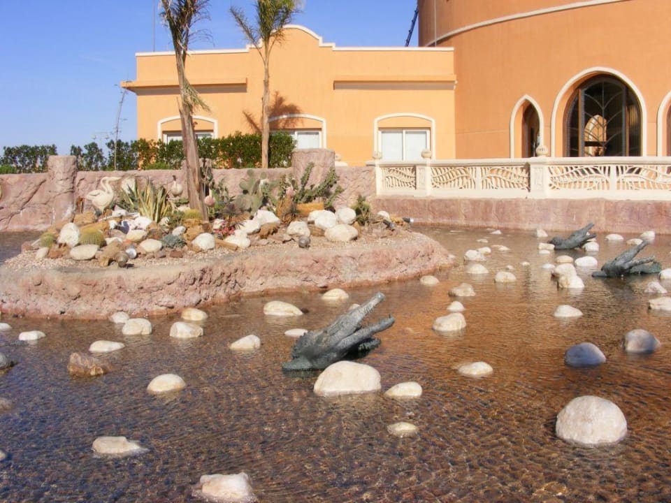 Crocodiles Sentido Caribbean World Soma Bay