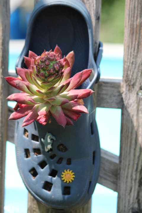 Gartenanlage Gästehaus Fidelis