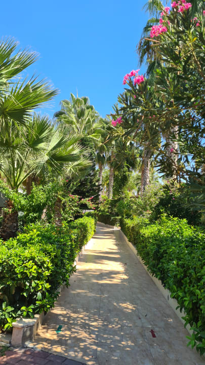 Gartenanlage Hane Family Resort