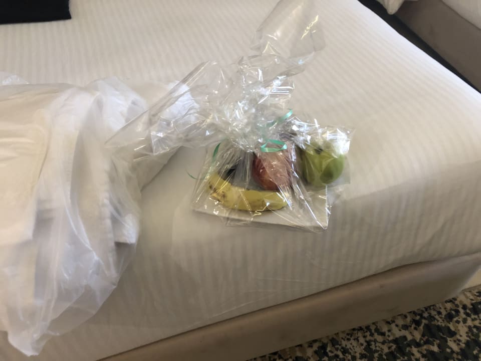 Zimmer Titanic Royal