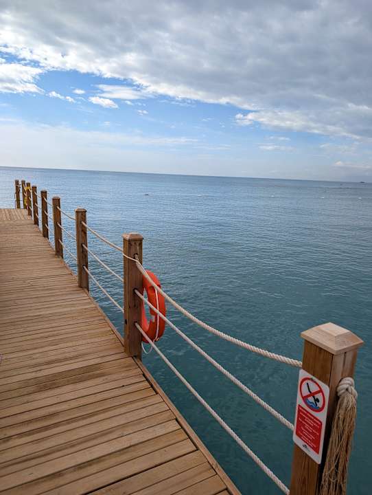 Strand Papillon Belvil