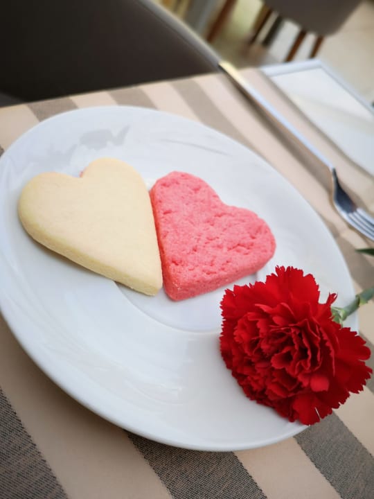 Gastro Hotel Delphin Imperial