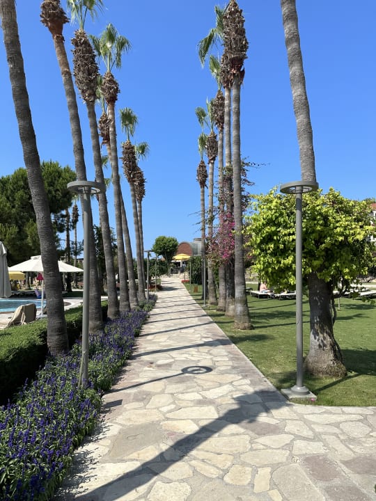 Gartenanlage Arum Barut Collection