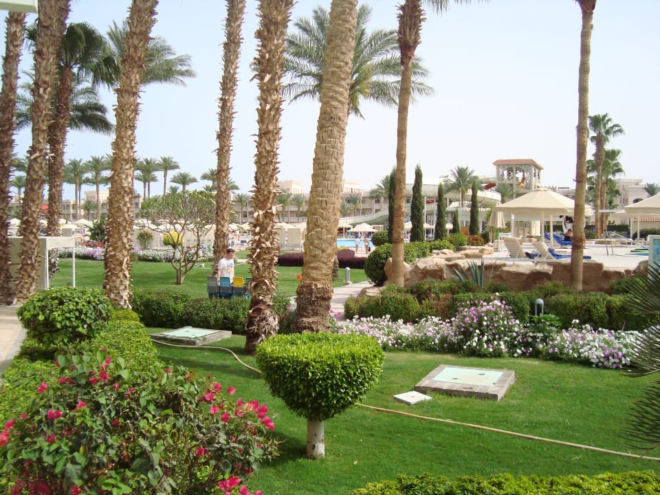 Gartenanlage Beach Albatros Resort