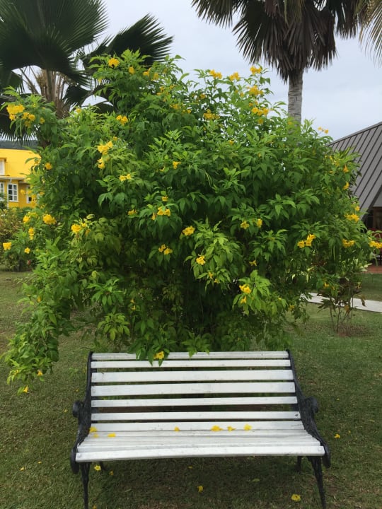 Gartenanlage La Digue Island Lodge