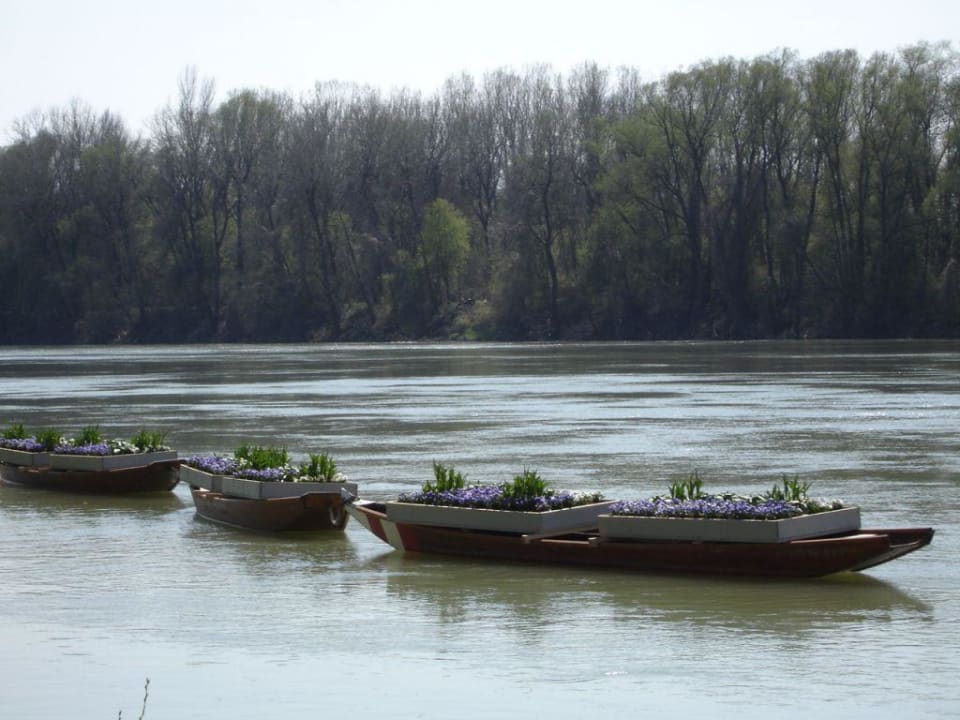 Aussicht vom Zimmer Hotel Gugerbauer